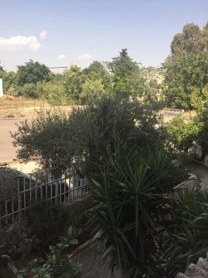 Cozy Apartment Near Metro Station Agia Marina Афіни Екстер'єр фото